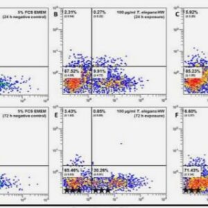 Demand Energy Strategies