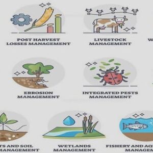 Designing farming systems