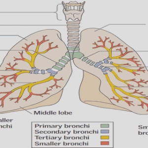 Construction of policies supporting home care