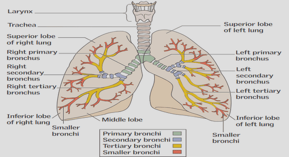 Construction of policies supporting home care
